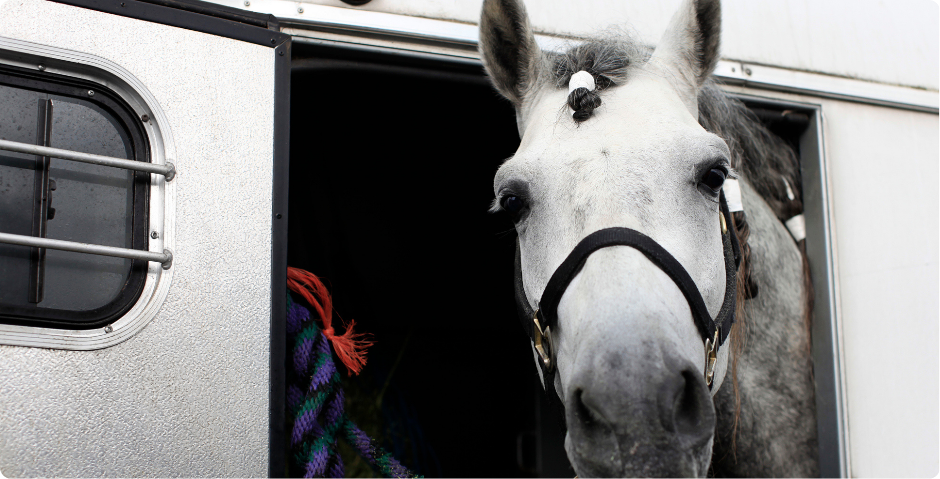 Custom Choice Lending